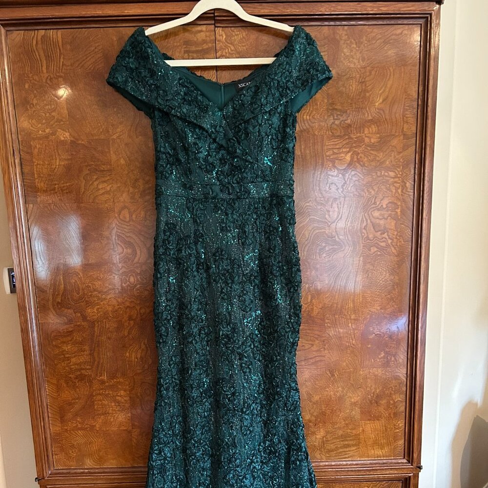 Xscape Evenings Embroidered Gown